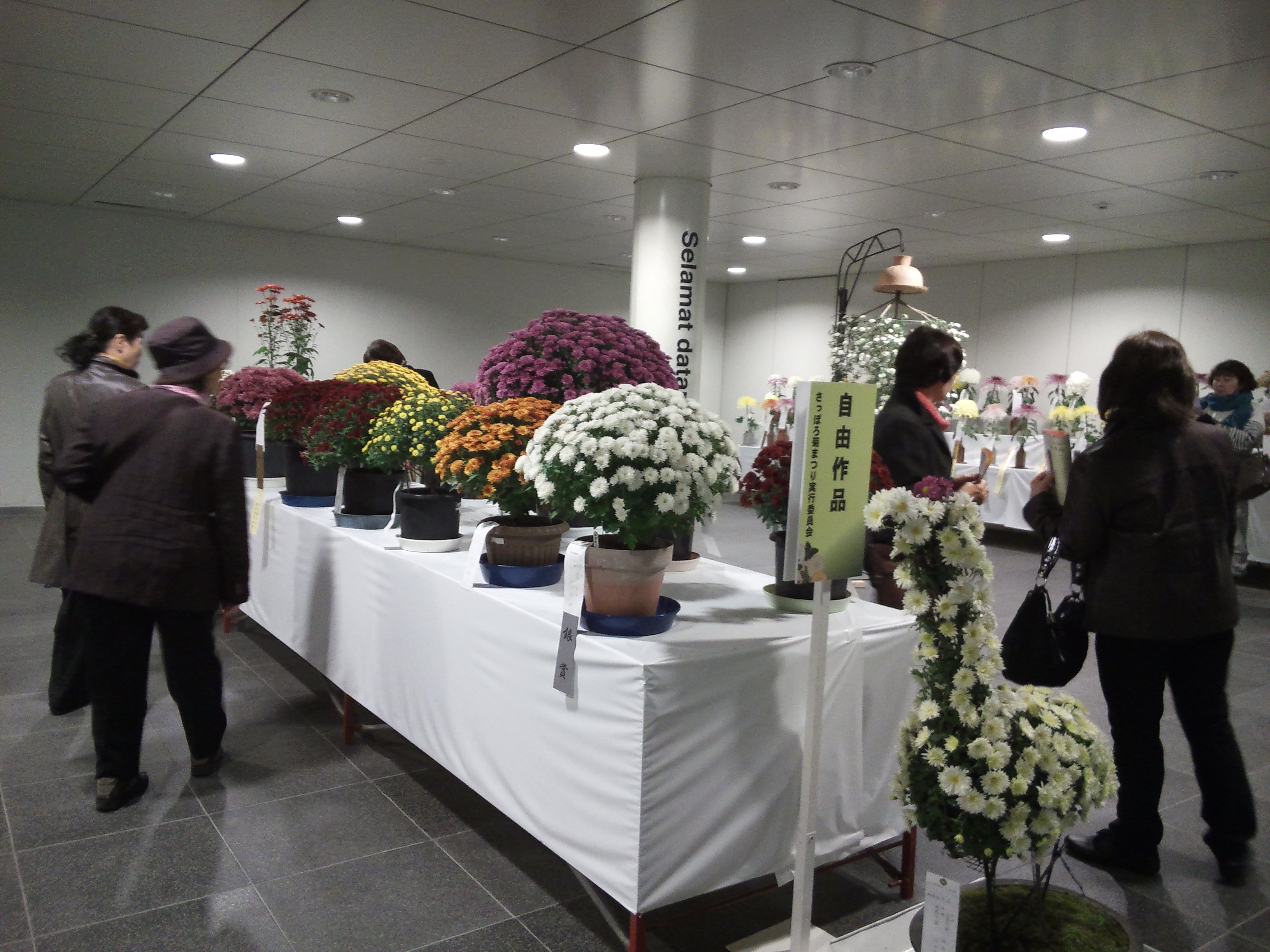 チカホの菊まつり チカホの菊まつり
