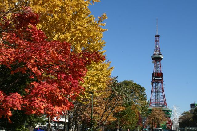 札幌市観光写真から 大通公園 札幌市観光写真から 大通公園