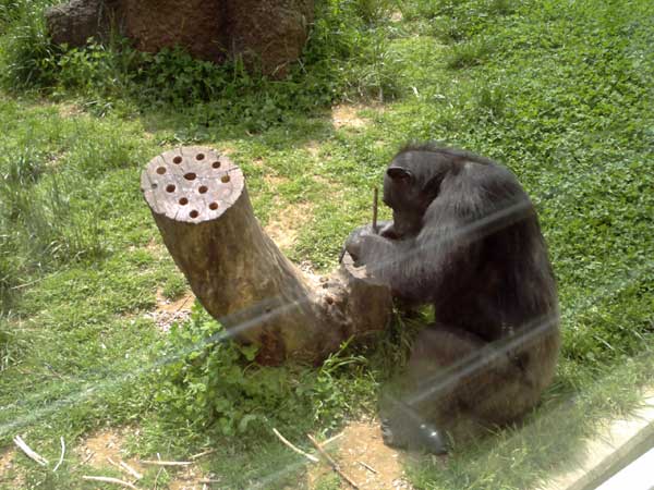 円山動物園視察 円山動物園視察